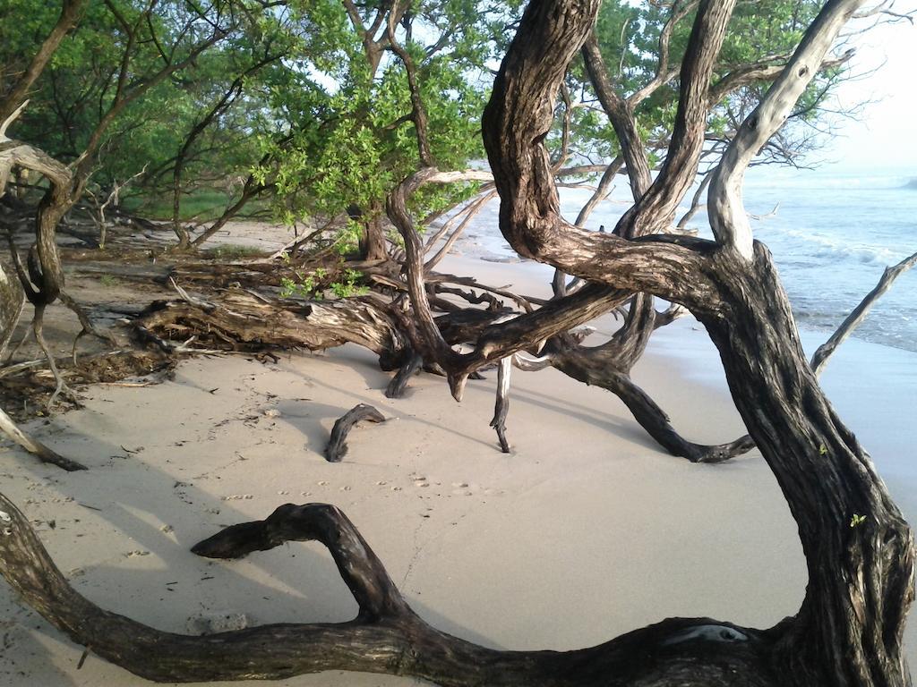 Cabinas Las Olas Playa Avellana Dış mekan fotoğraf