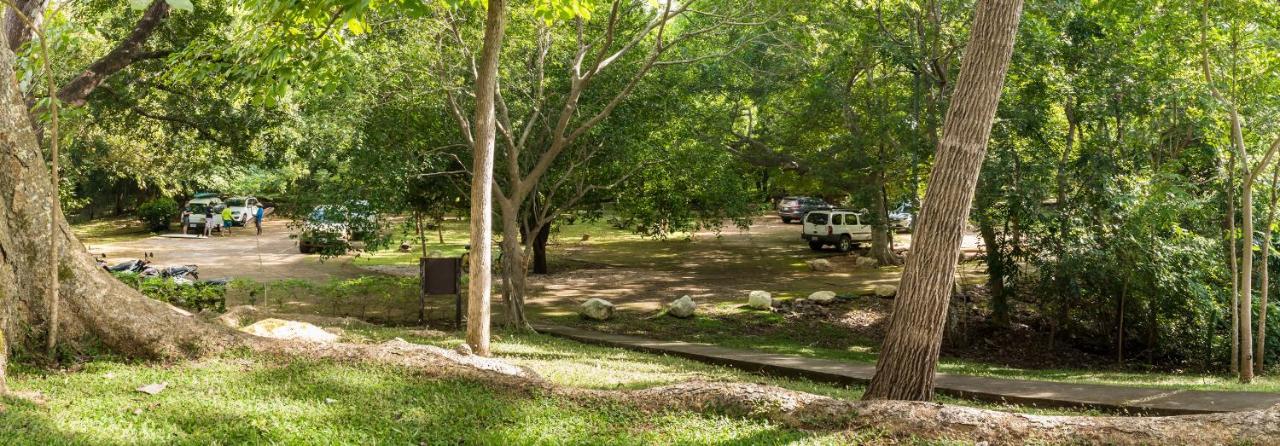 Cabinas Las Olas Playa Avellana Dış mekan fotoğraf